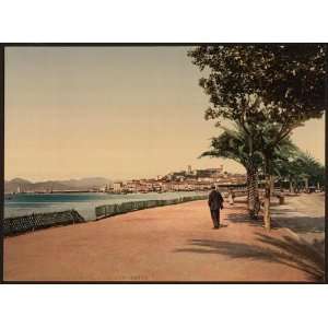   Photochrom Reprint of The boulevards, Cannes, Riviera