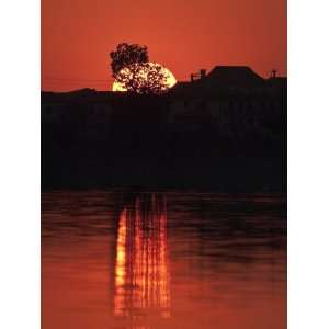  Heat Haze Distorts Scene of Tree Backdropped by the 