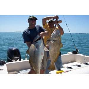   Florida Fishing Charters,tampa Bay Fl Charter Fishing 