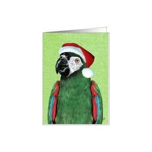  Christmas Santa Macaw Painting from Pet Parrot Card 