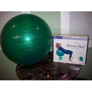  Gaiam Living Arts Balance Ball Fitness Kit Medium Ball 