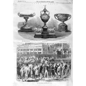   1866 Ascot Races QueenS Cup Royal Hunt Betting Ring