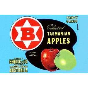  Vintage Art Fancy Grade Selected Tasmanian Apples   22615 
