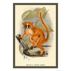  Smiths Dwarf Lemur Giclee Poster Print by Sir William 
