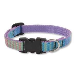  Lupine Small Dog Collar   Cotton Candy 6 9
