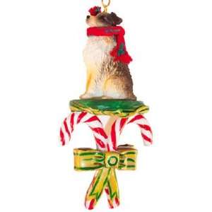  Australian Shepherd Dogs Candy Cane Christmas Ornament New 