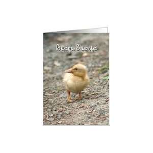 Buena Suerte Duckling Card