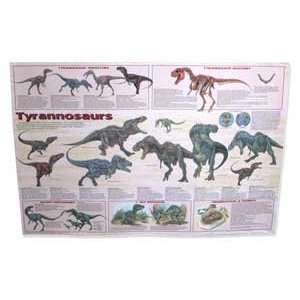  TYRANNOSAUR DINOSAUR POSTER Toys & Games