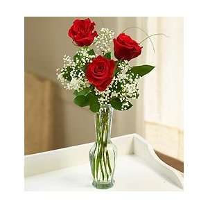Flowers by 1800Flowers   Loves Embrace Roses   3 Stem Red Roses 