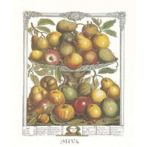 Twelve Months of Fruits, 1732/February by Robert Furber 6.00X7.50. Art 