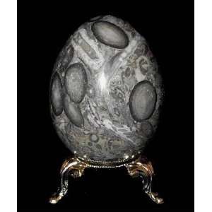  Collectible Fossil Stone Egg, Marble Stone Eggs   3H 