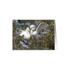  Thank you, Great Egrets nest building Card Health 