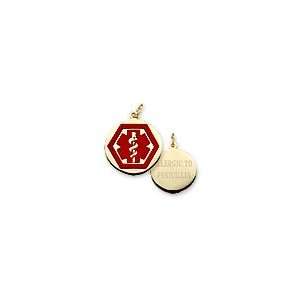  ZALES Medical Notification Charm in 10K Gold (4 Lines 