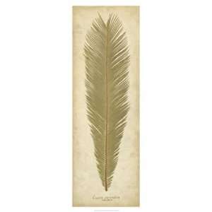  Sago Palm I   Poster by R. B. Davis (14x38)