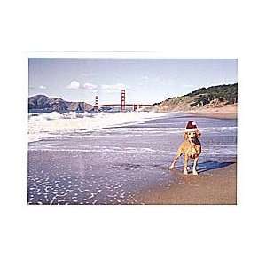  Dog at San Francisco Beach Christmas Card 