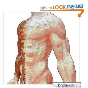 Exercises For Lower Back Pain Melissa Workman  Kindle 