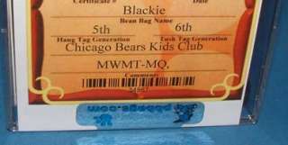 Blackie Authenticated   Chicago Bears Kids club Ty Beanie Baby  