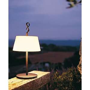 Ferrara Mesa table lamp   Graphite Brown Iron, 110   125V (for use in 