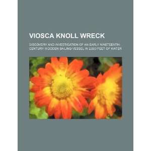 Viosca Knoll wreck discovery and investigation of an early nineteenth 