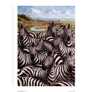  Zebra Gathering Finest LAMINATED Print Kilian 6x8