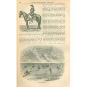  1856 Something About Horses illustrated 