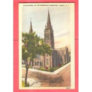  Postcard Cathedral Immaculate Conception AlbanyNY 