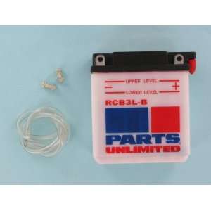  Parts Unlimited Economy Battery 