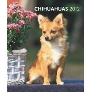  Chihuahuas 2012 Hardcover Engagement Calendar Office 