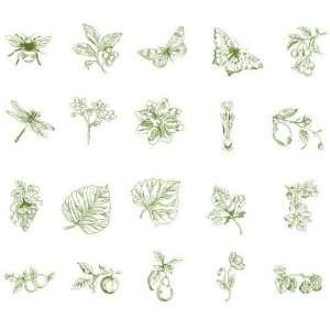    Embroidery Machine Designs CD BOTANICAL TOILE