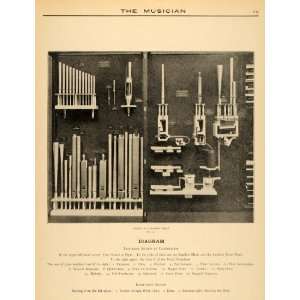  1906 Print Musician Inner Organ Diagram Pipes Octaves 