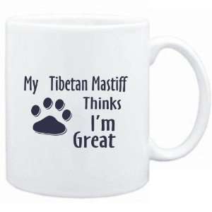   White  MY Tibetan Mastiff THINKS I AM GREAT  Dogs
