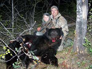 bear hunts black bear hunting bear hunting  
