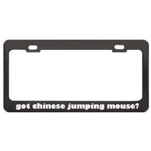 Got Chinese Jumping Mouse? Animals Pets Black Metal License Plate 