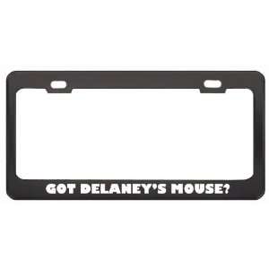 Got DelaneyS Mouse? Animals Pets Black Metal License Plate Frame 