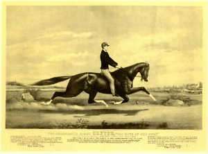KING OF THE TURF HORSE TROTTER DEXTER OLD PRINT  
