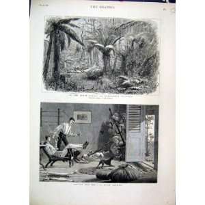  1881 Indian Sketches State Forest Dandenong Australia