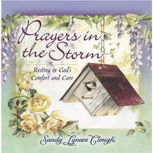  Prayers in the Storm Resting in Gods Comfort and Care 