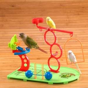 Bird Play Stand for Small Parrots Birdie Basketball Gym  