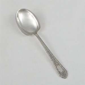  Mary II by Lunt, Sterling Sugar Spoon