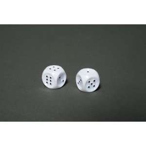  Braille Dice 