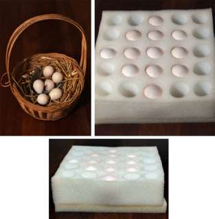 Pictures of some of my Mountain Quail eggs and the shipping foam they 