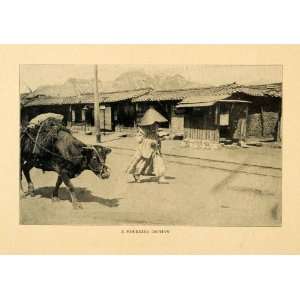  1903 Print Seoul South Korea Mourning Orphan Cow Cattle Housing 
