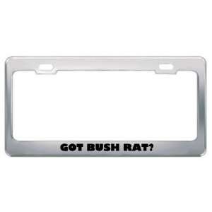 Got Bush Rat? Animals Pets Metal License Plate Frame Holder Border Tag