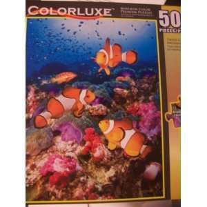 COLORLUXE THREE CLOWN FISH, ANDAMAN SEA, Maximum Color Premium 500 