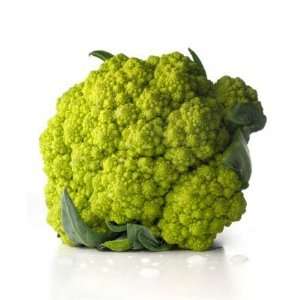 Bio Fresh Broccoli  Grocery & Gourmet Food