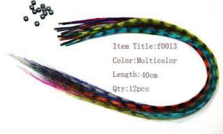   Multicolor Grizzly Synthetic Feather Hair Extensions & 12 Beads  