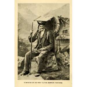   Cattle Switzerland Swiss Chalet Mountains   Original Halftone Print