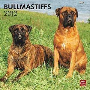  2012 Bullmastiffs Calendar