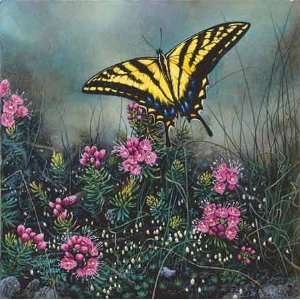  Stephen Lyman   Swallowtail Butterfly and Pink Mountain 