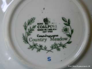 COALPORT COUNTRYWARE COUNTRY MEADOW SOUP CUP & STAND  